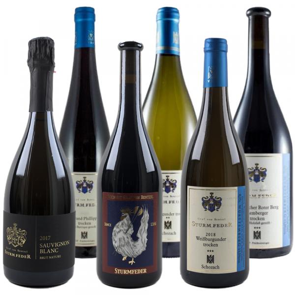 PREMIUM SELECTION - 6 x 0,75 L Weinpaket ► STURMFEDER