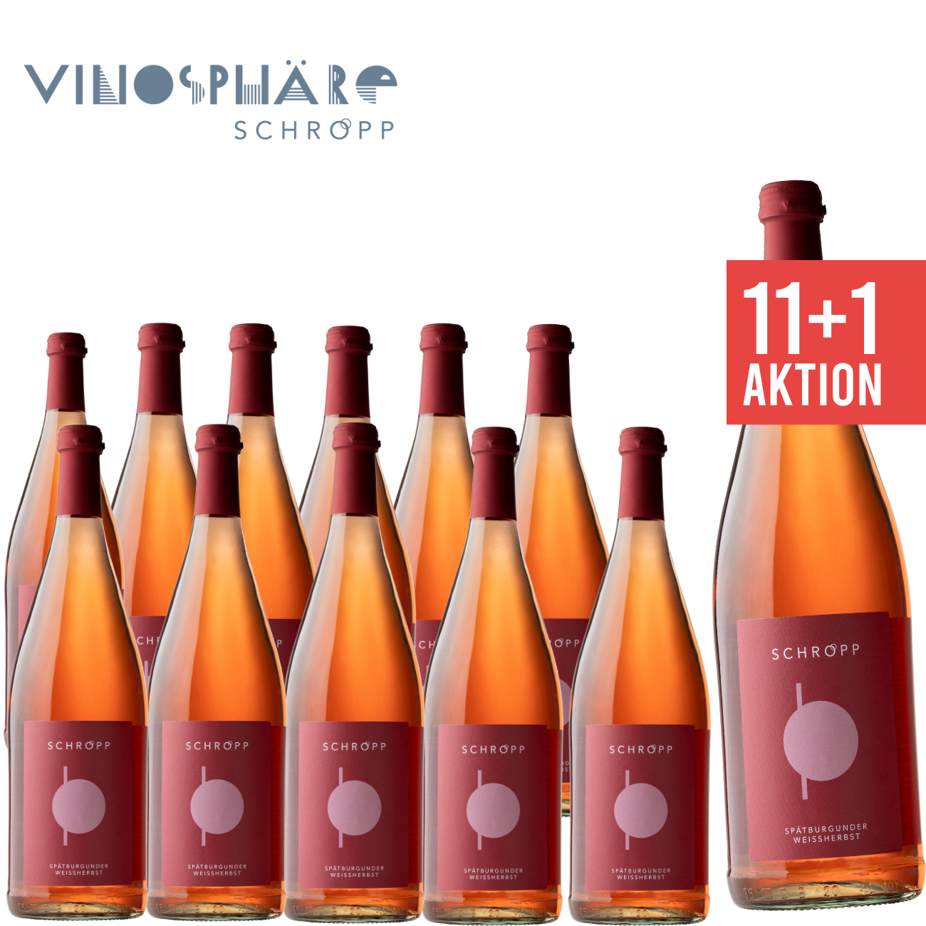 Schropp ► 12 x Spätburgunder Weißherbst 1,0 L ☆ Paket