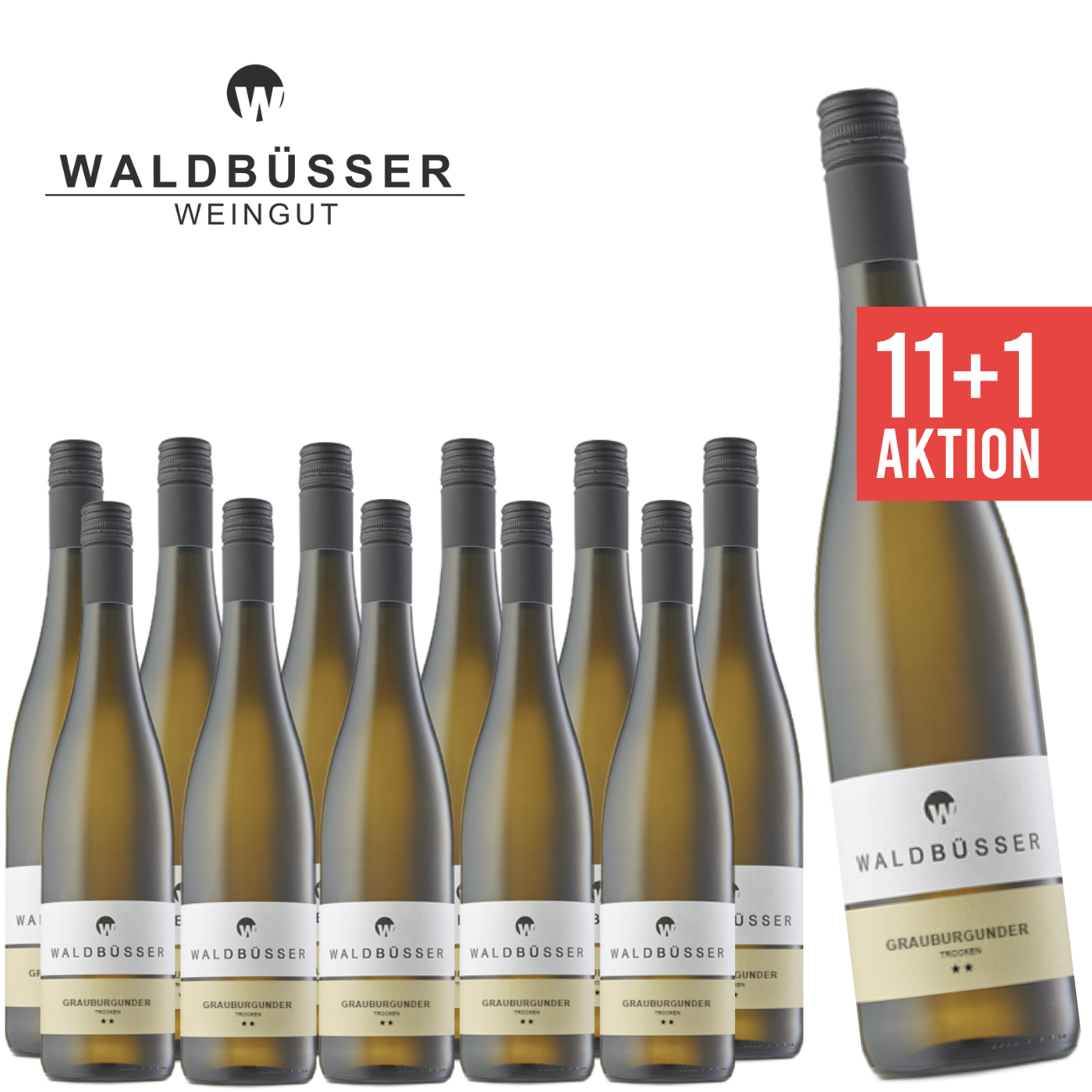 11+1 Grauburgunder trocken 0,75 L ► WALDBÜSSER ★ ANGEBOT