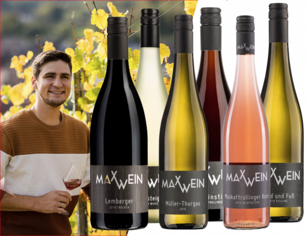 JUNGWINZER-WEINE 6 x 0,75 L Weinpaket - MAXWEIN