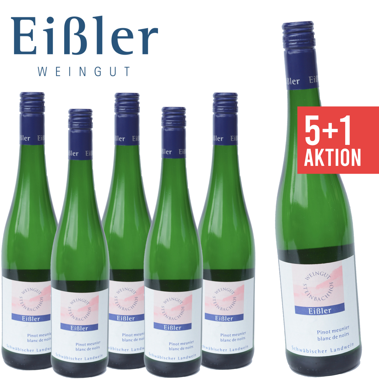 5+1 Pinot Meunier Blanc de Noirs halbtrocken 0,75 L - Steinbachhof Eißler