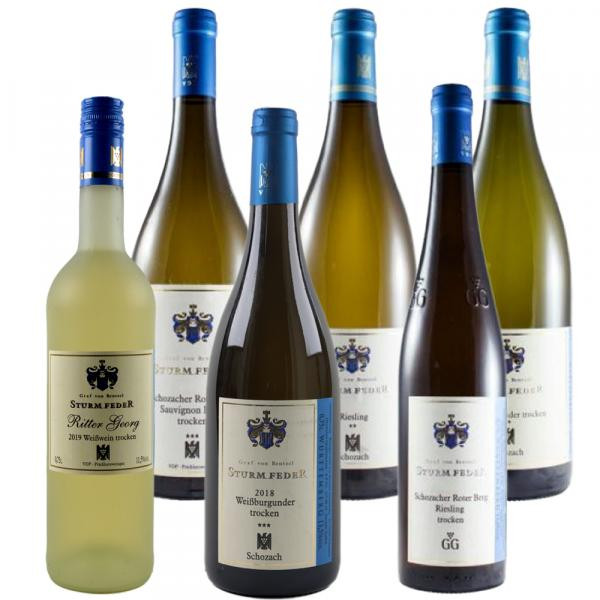 WEISS & TROCKEN - 6 x 0,75 L Weinpaket ► STURMFEDER