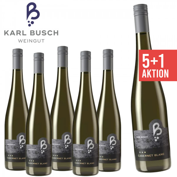 6 x Cabernet Blanc feinherb 0,75 L Biowein - KARL BUSCH