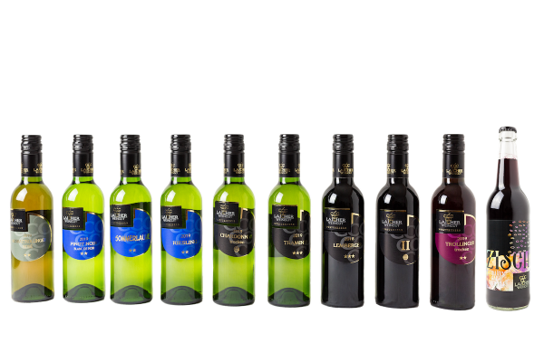 KLEIN ABER FEIN - 9 x 0,375 L Wein & 1 x 0,5 L Traubenschorle Zisch - Weingut Laicher