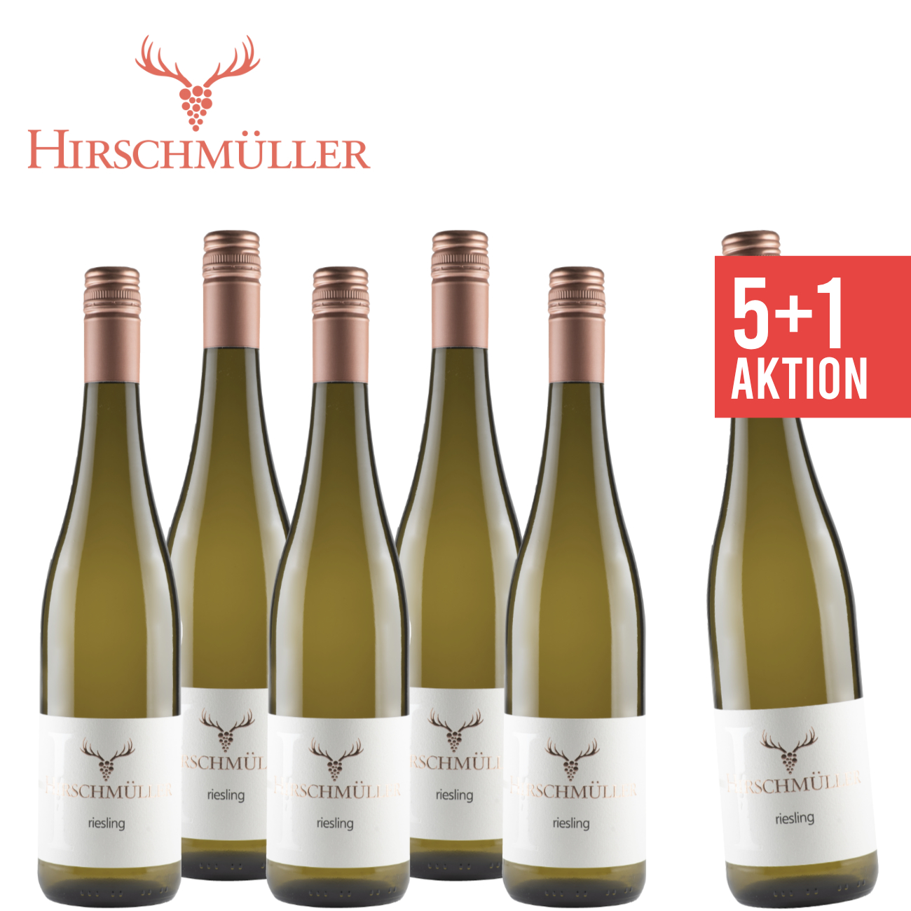 5+1 Riesling trocken 0,75 L - Weingut Hirschmüller