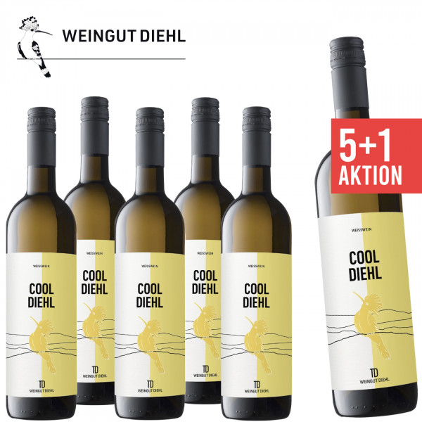 5+1 Cool Diehl Weisswein trocken 0,75 L ► Weingut Diehl | WW