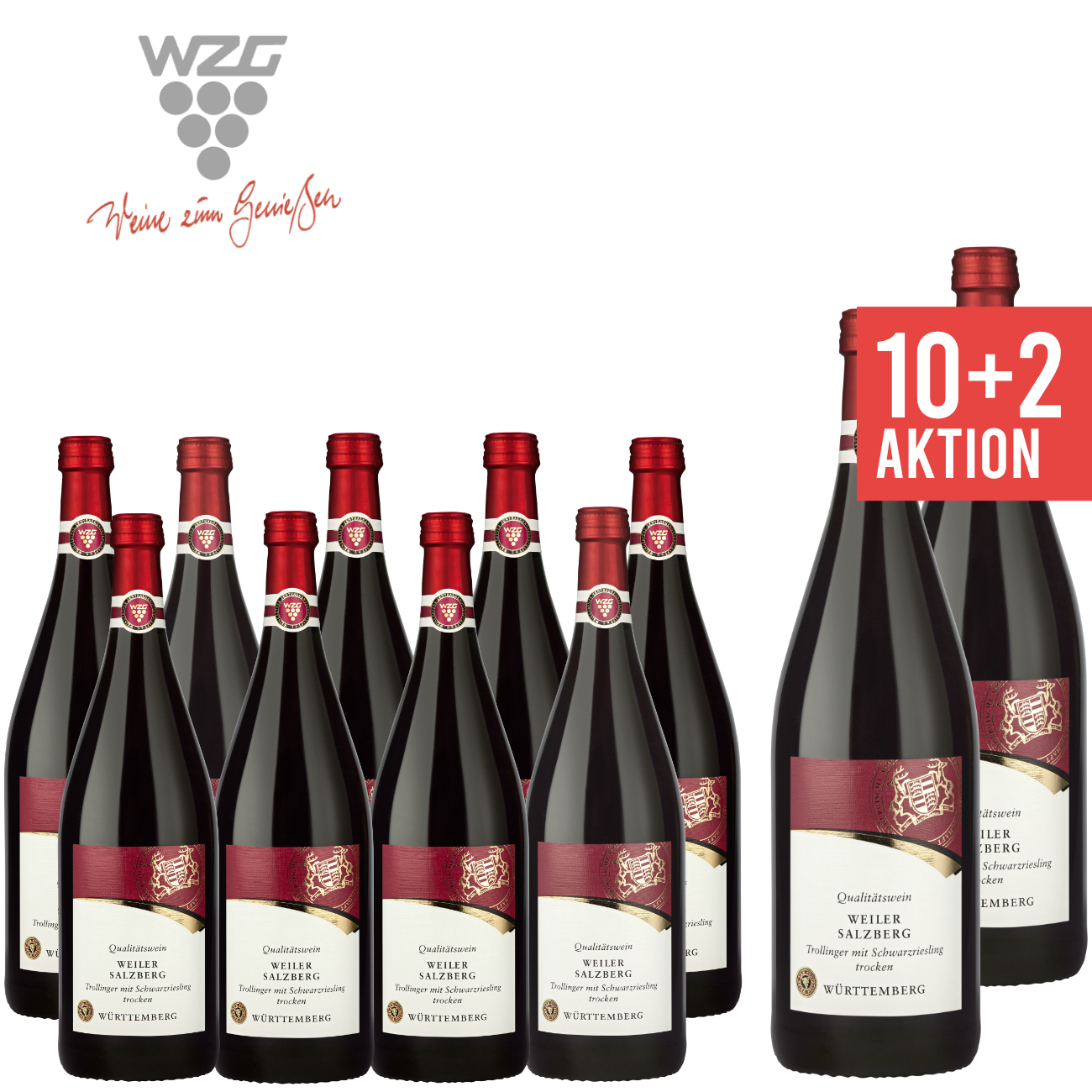 WZG Möglingen 10+2 Weiler Salzberg Trollinger mit Schwarzriesling trocken Qualitätswein 1,0 L - Württemberg, Rotwein