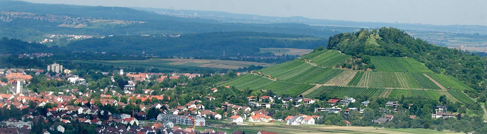 Weingärtnergenossenschaft Metzingen-Neuhausen eG