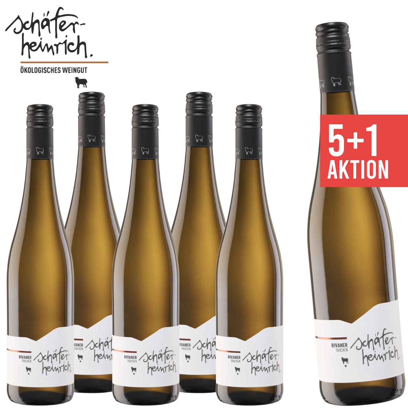 Schäfer-Heinrich Ökologisches Weingut, 5+1 Rivaner trocken 0,75 L Biowein - Angebot - Weinpaket - Weisswein